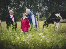 Natur-Blumenwiese Bislicher Inseln Xanten 0624